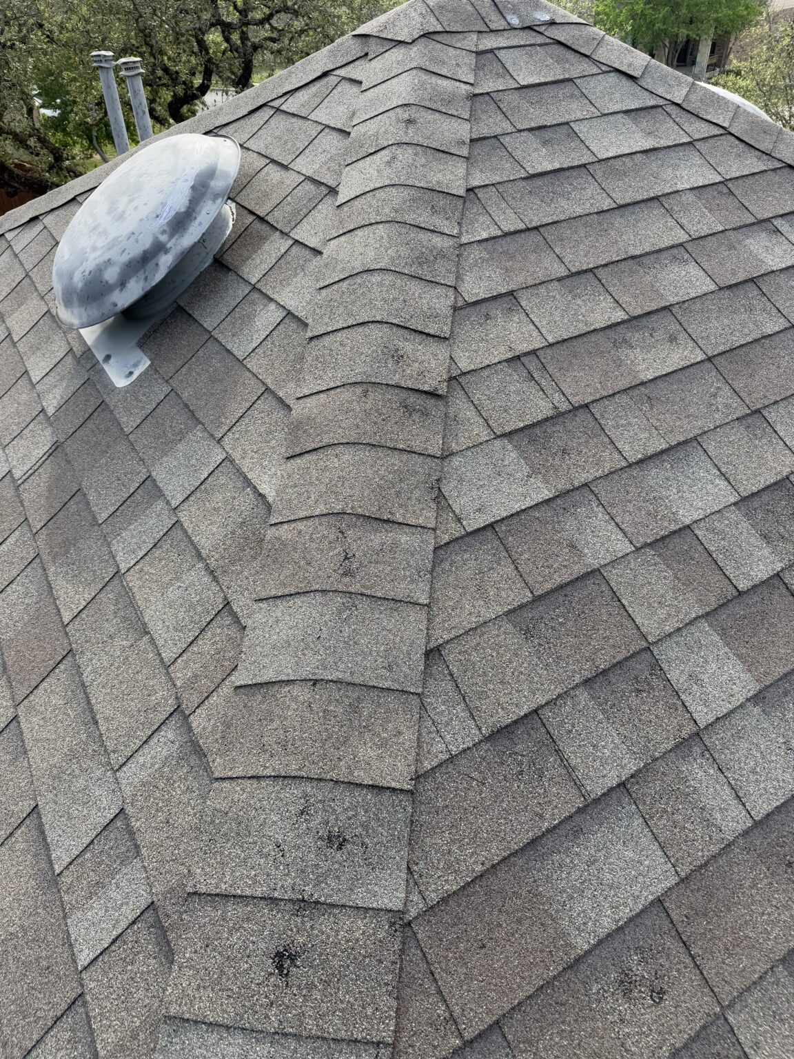 new shingles